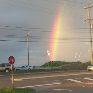 Meet your Posher, Ernest